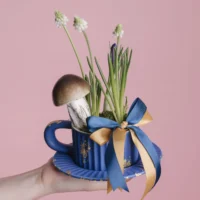 Aranjament cu muscari albi și crocus în cană