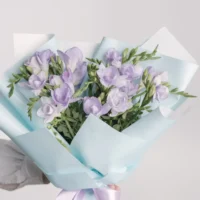 Buchet cu frezii mov