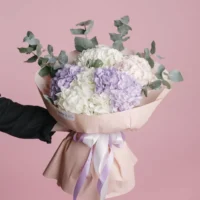 Colourfull Hydrangea