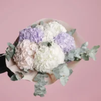 Colourfull Hydrangea