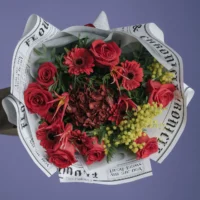 Jar de februarie